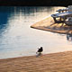 Pileta / Piscina
