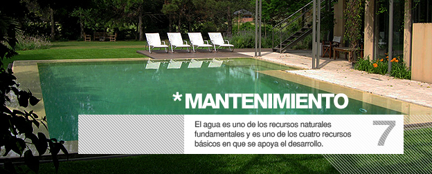 MANTENIMIENTO PILETAS