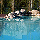 Pileta / Piscina